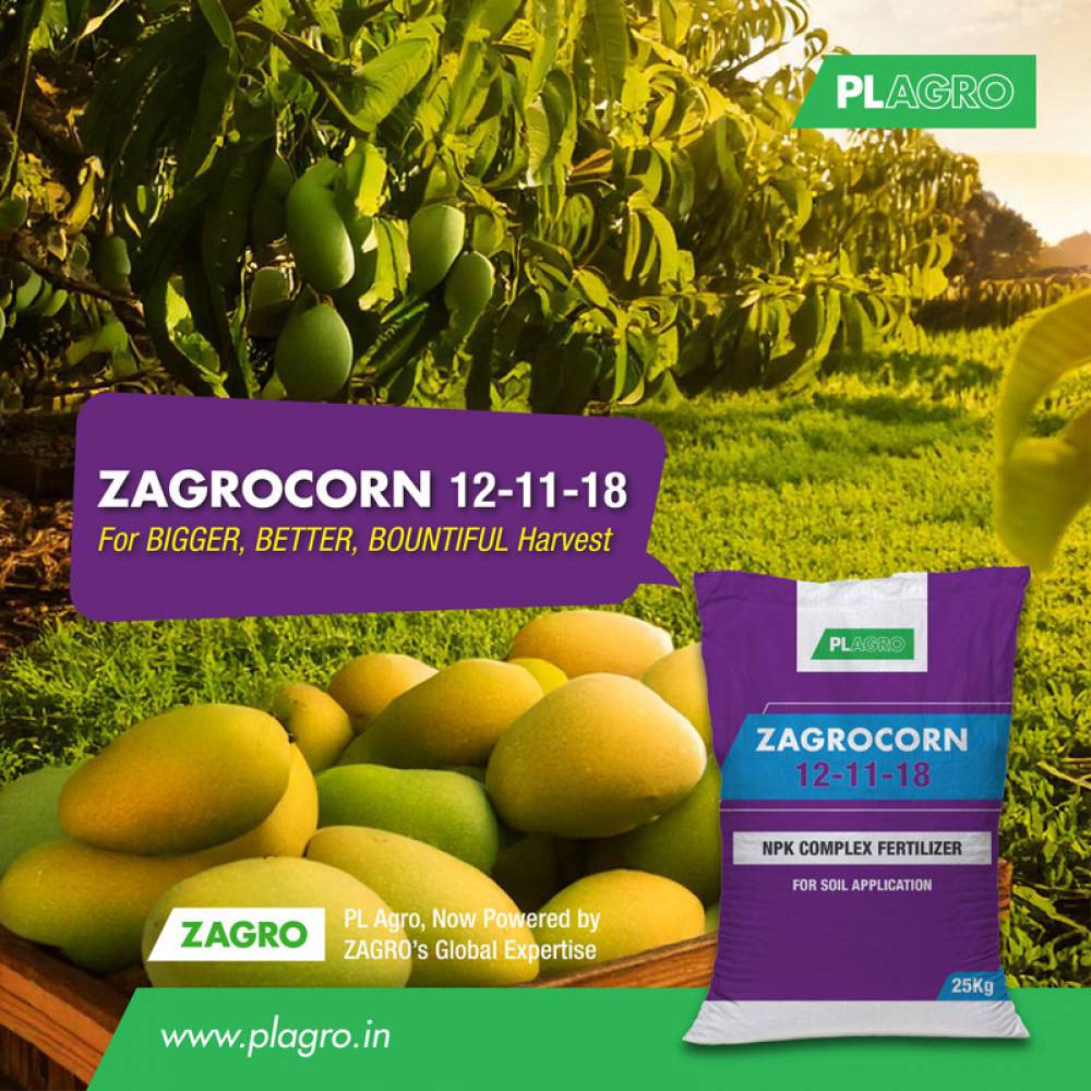 Boost Your Mango Harvest with Zagrocorn 12-11-18 + Trace Elements!